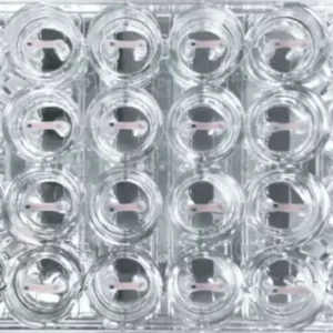 CuriBio 3D Cell Culture