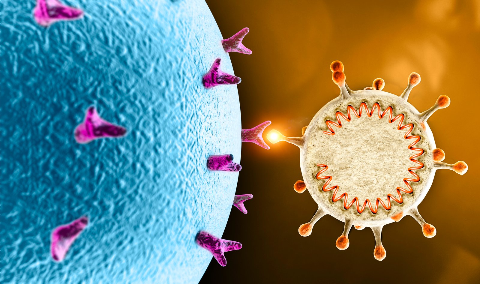 ELISA Protein Ligand interaction